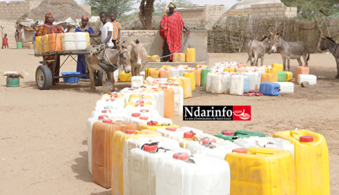 Soif à Niassène : les populations marchent contre « l’injustice » (vidéo) Soif à Niassène : les populations marchent contre « l’injustice » (vidéo)