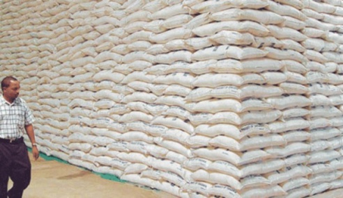 Richard Toll : 80 000 tonnes de sucre en souffrance à la Css