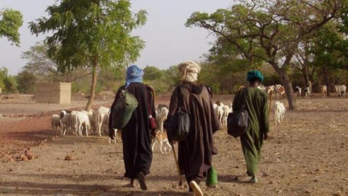 Sénégal-Mauritanie-Elevage : vers le démarrage d’un projet de développement durable du pastoralisme au sahel