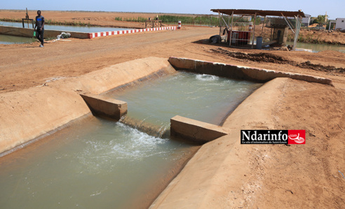 Essor de la Compagnie agricole de Saint-Louis : l’accès à l’eau aux producteurs locaux, un pari relevé (vidéo)