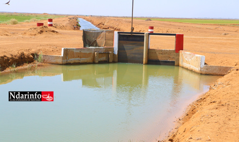 Essor de la Compagnie agricole de Saint-Louis : l’accès à l’eau aux producteurs locaux, un pari relevé (vidéo) Essor de la Compagnie agricole de Saint-Louis : l’accès à l’eau aux producteurs locaux, un pari relevé (vidéo)