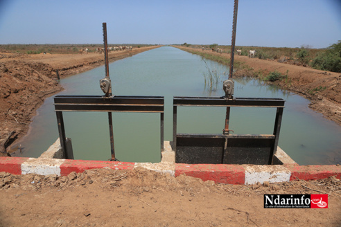 Essor de la Compagnie agricole de Saint-Louis : l’accès à l’eau aux producteurs locaux, un pari relevé (vidéo) Essor de la Compagnie agricole de Saint-Louis : l’accès à l’eau aux producteurs locaux, un pari relevé (vidéo)