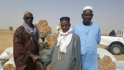 Appui aux éleveurs de Ronkh et Gnith : des pailles d'arachide offertes au bétail ( Photos) Appui aux éleveurs de Ronkh et Gnith : des pailles d'arachide offertes au bétail ( Photos)