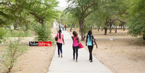 UGB - Bras de Fer entre le CROUS et la COMSOC : des délégués d’étudiants arrêtés, ce matin. UGB - Bras de Fer entre le CROUS et la COMSOC : des délégués d’étudiants arrêtés, ce matin.