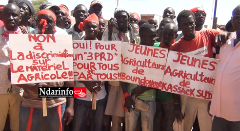 Distribution des matériels agricoles : Vive colère des producteurs du Delta ( vidéo ) Distribution des matériels agricoles : Vive colère des producteurs du Delta ( vidéo )