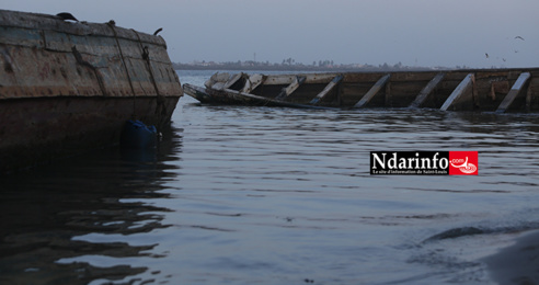 Chavirement de migrants au large de Gandiol : le cerveau de l’affaire arrêté Chavirement de migrants au large de Gandiol : le cerveau de l’affaire arrêté