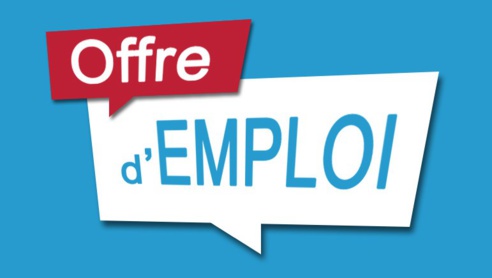 Offre d'emploi : Consultant International and Suivi et évaluation de l’UNDAF+