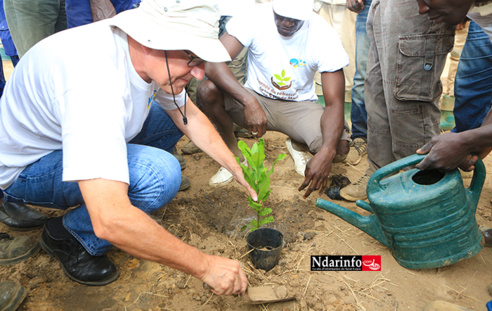 Compagnie Sucrière Sénégalaise : 300 plants d’anacardiers plantés dans la zone de la « grande mare » (vidéo)