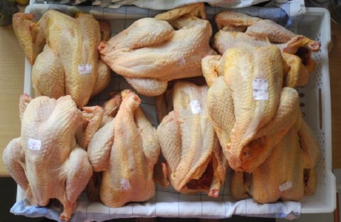 Sénégal : Il n'y aura pas de pénurie de poulets pour la Korité Sénégal : Il n'y aura pas de pénurie de poulets pour la Korité