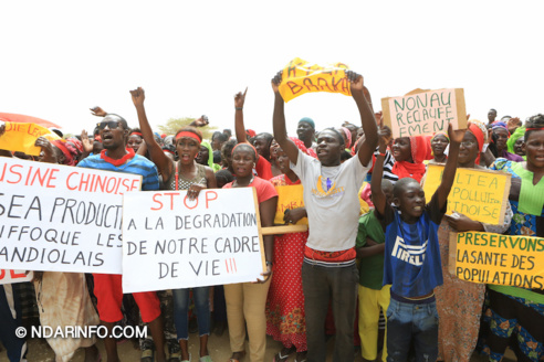 Marche d’indignation des victimes de l’usine chinoise de Mbambara ( vidéo-Photos )