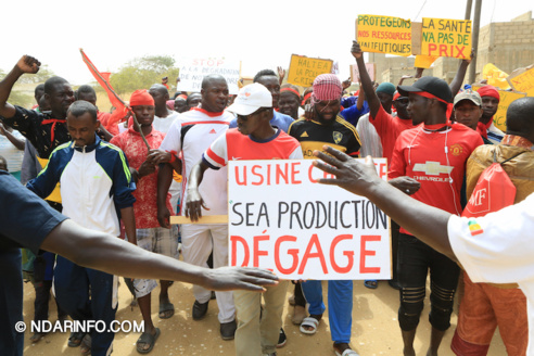 Marche d’indignation des victimes de l’usine chinoise de Mbambara ( vidéo-Photos )