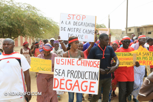 Marche d’indignation des victimes de l’usine chinoise de Mbambara ( vidéo-Photos )