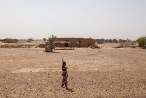 Ile à Morphil : Une île amorphe depuis 13 ans Ile à Morphil : Une île amorphe depuis 13 ans