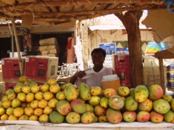 Mangue : de "nouvelles dispositions' sur les opérations d'inspection et de certification phytosanitaire Mangue : de "nouvelles dispositions' sur les opérations d'inspection et de certification phytosanitaire