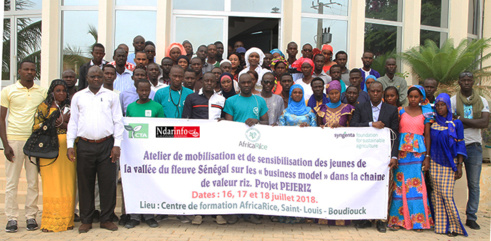 ​Promotion de la Chaîne de valeur riz : Africa Rice sensibilise 150 jeunes de la vallée sur les opportunités du secteur (vidéo)