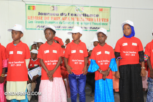 Journée de l’excellence 2018 : les GDS gâtent les meilleurs élèves de sa zone (vidéo) Journée de l’excellence 2018 : les GDS gâtent les meilleurs élèves de sa zone (vidéo)