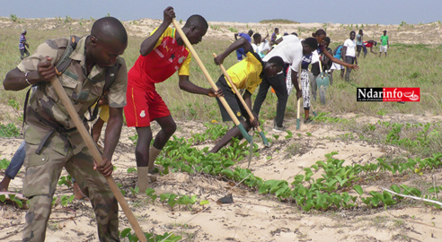 Une mobilisation citoyenne reboise le littoral et la mangrove du Parc National de la Langue de Barbarie (vidéo) Une mobilisation citoyenne reboise le littoral et la mangrove du Parc National de la Langue de Barbarie (vidéo)