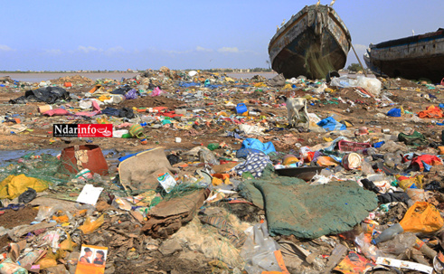 Saint-Louis - Berges sales : la catastrophe à Goxu Mbacc (Photos) Saint-Louis - Berges sales : la catastrophe à Goxu Mbacc (Photos)