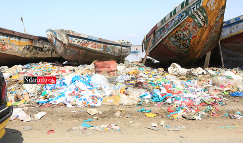 Saint-Louis - Berges sales : la catastrophe à Goxu Mbacc (Photos) Saint-Louis - Berges sales : la catastrophe à Goxu Mbacc (Photos)