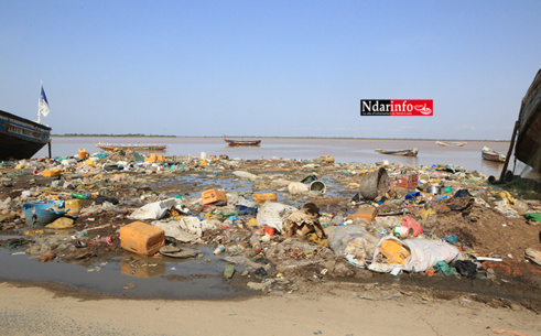 Saint-Louis - Berges sales : la catastrophe à Goxu Mbacc (Photos) Saint-Louis - Berges sales : la catastrophe à Goxu Mbacc (Photos)