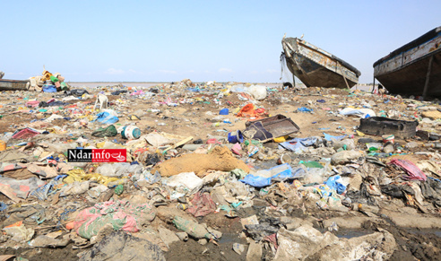 Saint-Louis - Berges sales : la catastrophe à Goxu Mbacc (Photos) Saint-Louis - Berges sales : la catastrophe à Goxu Mbacc (Photos)