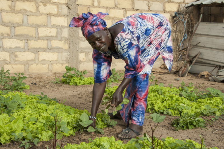 Saint-Louis : mise en place d’un réseau national des épicentres du Sénégal