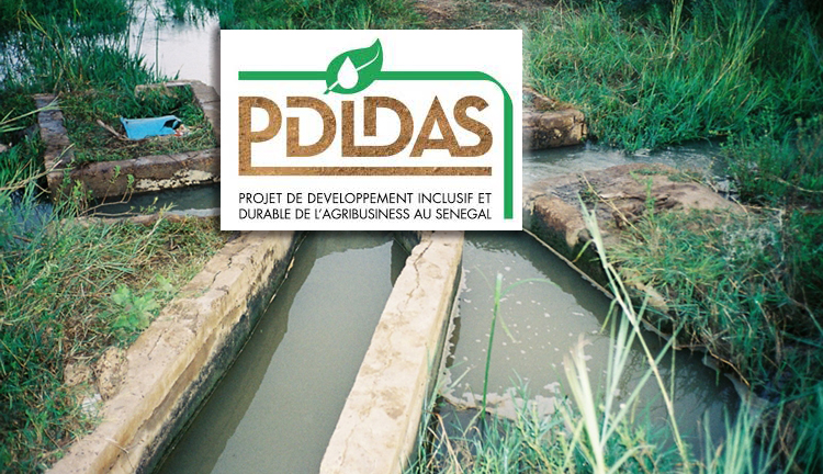 Ndiawdoune rejette le canal du PDIDAS : les populations fustigent « la méthode « solidaire et discriminatoire » du projet