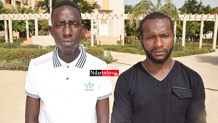 DETTE DU CROUS  : " le directeur était au courant ... " (CESL) DETTE DU CROUS  : " le directeur était au courant ... " (CESL)