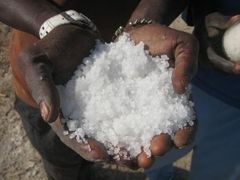 Riz : plaidoyer pour une annualisation des crédits aux producteurs Riz : plaidoyer pour une annualisation des crédits aux producteurs