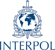 Vente de produits sexuels : Interpol arrête 7 personnes Vente de produits sexuels : Interpol arrête 7 personnes