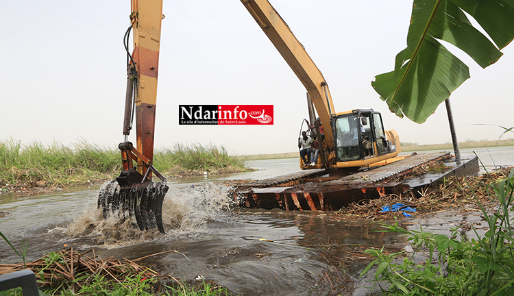 POLLUTION À BANGO : l’intervention de la SAED freine le mal (vidéo)