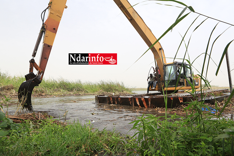 POLLUTION À BANGO : l’intervention de la SAED freine le mal (vidéo)