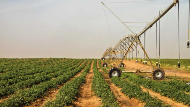 FORMATION : le LTAP de Saint-Louis mise sur l’agriculture