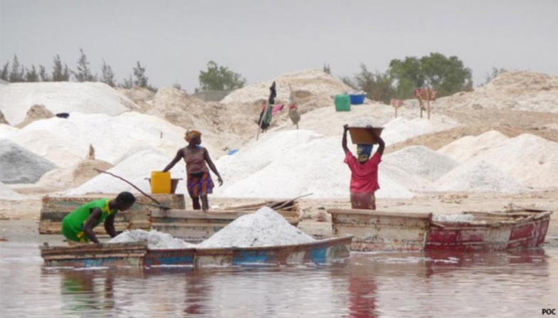 Le Sel Sénégalais est Mauvais (Rapport Greenpeace)