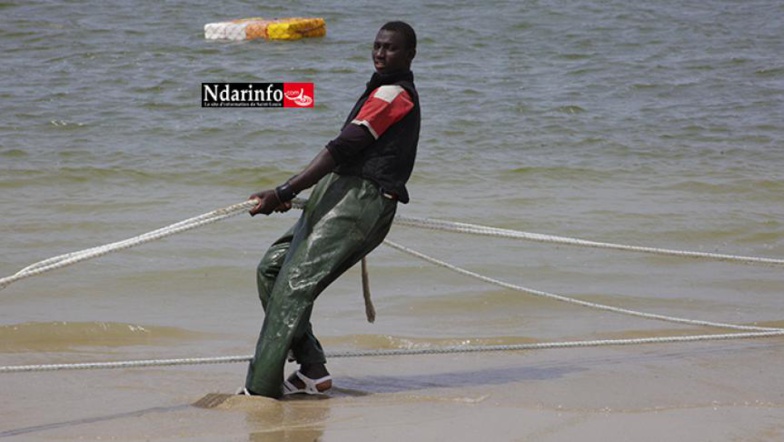 ​Saint-Louis : BP veut renforcer la résilience des communautés de pêcheurs (vidéo)