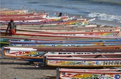 Pêche : 208 pirogues obtiennent leur autorisation Pêche : 208 pirogues obtiennent leur autorisation