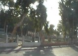Une dame trouve la mort dans les jardins de la place Faidherbe Une dame trouve la mort dans les jardins de la place Faidherbe