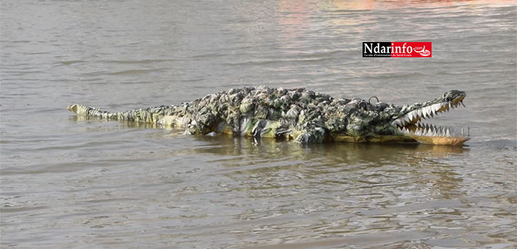 Saint-Louis : Ce "magicien" transforme le plastique en crocodile (vidéo)