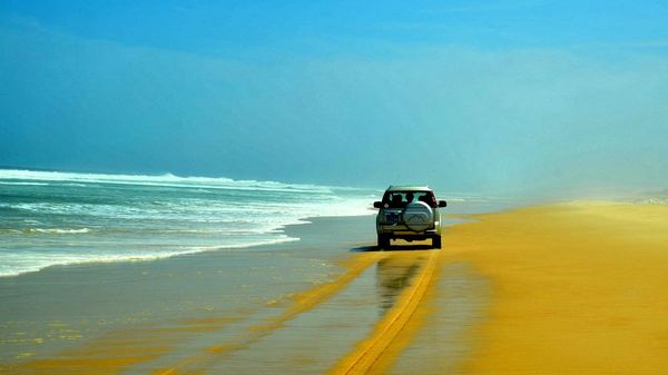 Un chercheur propose des solutions naturelles pour stabiliser les plages