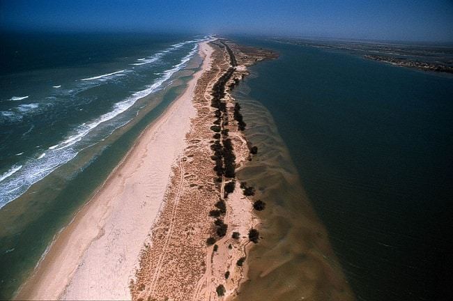 Exploitation pétrogazière : Les impacts environnementaux seront "bien gérés" Exploitation pétrogazière : Les impacts environnementaux seront "bien gérés"