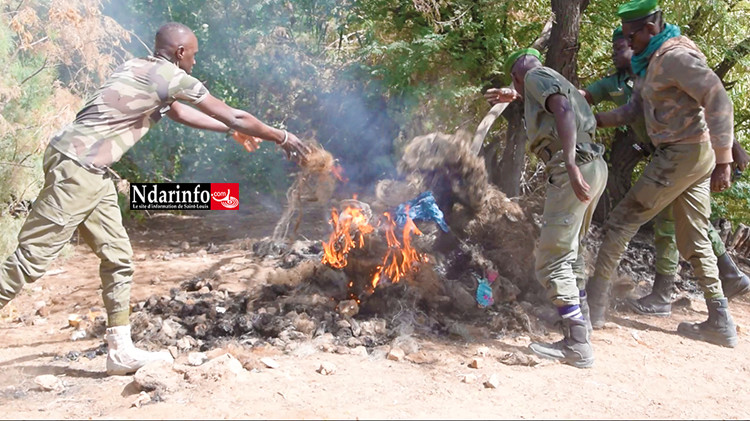 ​PARC DU DJOUDJ : 2 braconniers arrêtés avec 7 pirogues, 42 filets de pêche saisis et brûlés (vidéo)