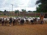 A Danthaidy, dans la communauté rurale de OGO A Danthaidy, dans la communauté rurale de OGO