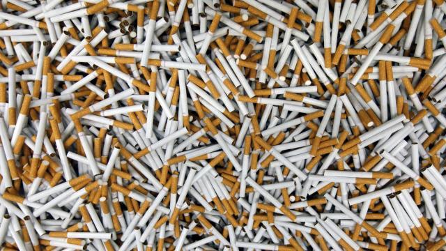 Industrie du tabac : Philip Morris accusée de tricherie au Sénégal et en Afrique