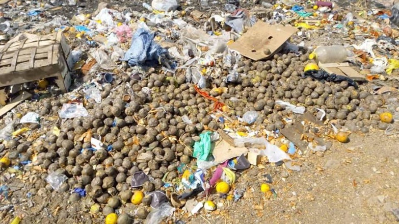 Saint-Louis : Après les cimetières, des sentinelles vont nettoyer les berges Saint-Louis : Après les cimetières, des sentinelles vont nettoyer les berges
