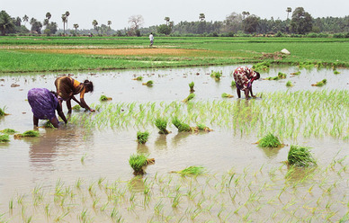 Le PACR fait le bilan de trois ans d'existence Le PACR fait le bilan de trois ans d'existence