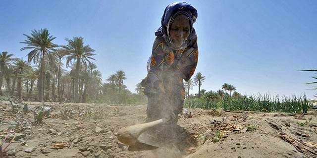 SAHEL : validation d’un plan d’investissement en faveur du climat