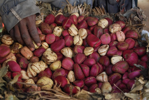 « 4,5 millions de femmes célibataires au Sénégal », l’Ong et son rapport introuvables