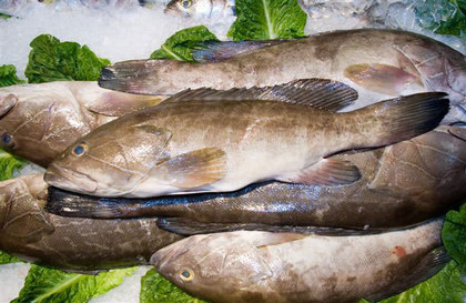 Le poisson abaisserait le mauvais cholestérol et accroîtrait le sperme et la vue