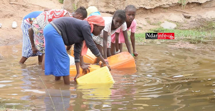 ​Manque d’eau potable : le Djoudj et ses environs très touchés (vidéo)