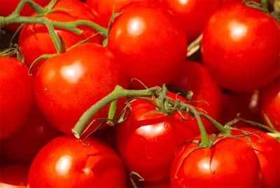 Production de 90.000 tonnes : La tomate a généré plus de 4 milliards de Fcfa